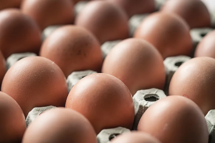 Salmonella Outbreak