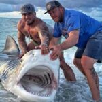 Shark Attacks Surfer, 18, at Florida Beach