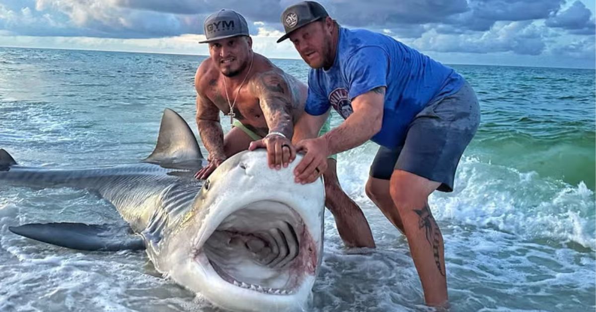 Shark ATTACKS 18-Year-Old Surfer at Florida Beach